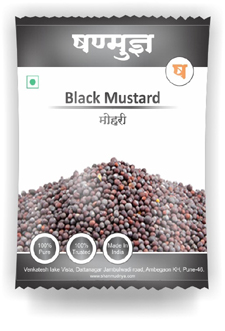 Shanmudnya - Black Mustard